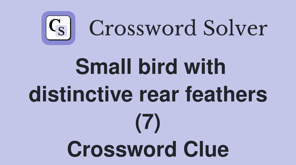 Small bird with distinctive rear feathers (7)